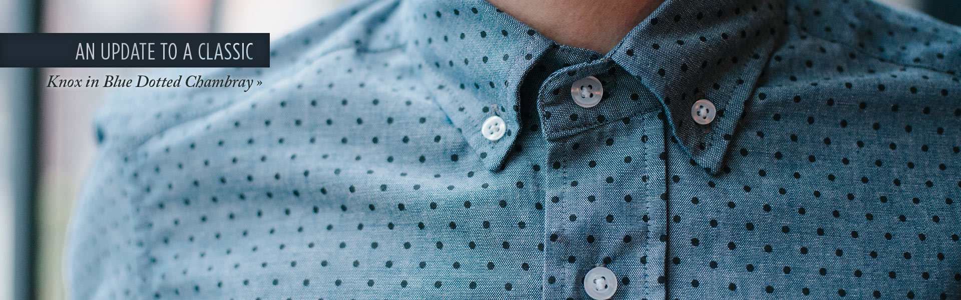 Knox in Blue Dotted Chambray
